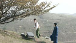 Chuyện Tình Cây Sơn Tra-Under The Hawthorn Tree