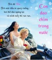 Con Dao Chìm Trong Nước