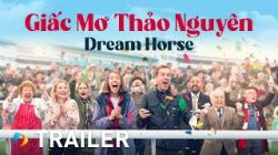 Giấc Mơ Thảo Nguyên-Dream Horse