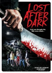 Sau Bức Màn Đêm - Lost After Dark 