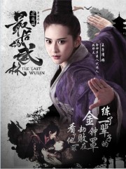 Nhất Đại Lãng Khách - The Last Wulin 