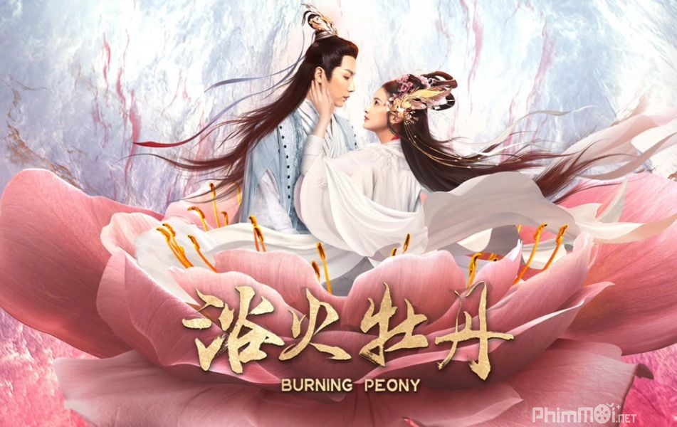 Dục Hỏa Mẫu Đan - Burning Beony