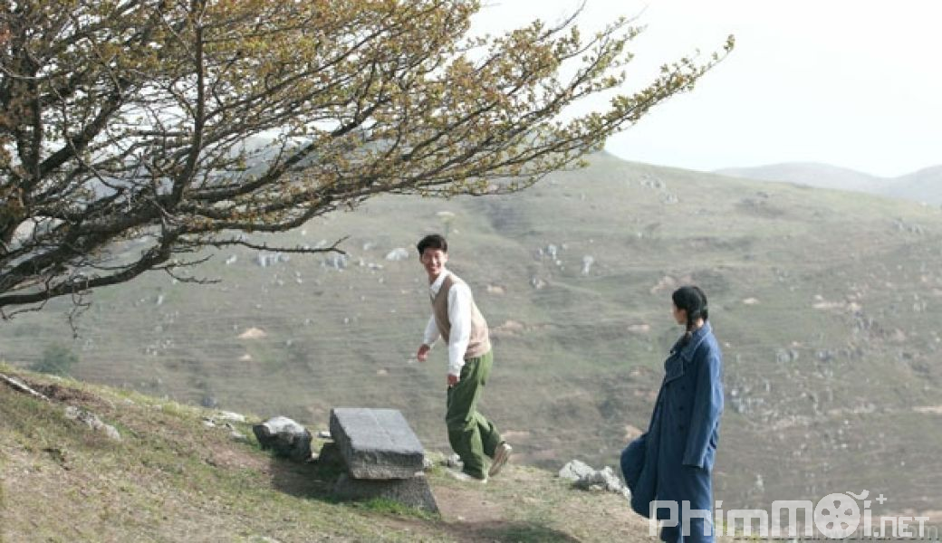 Chuyện Tình Cây Sơn Tra-Under The Hawthorn Tree